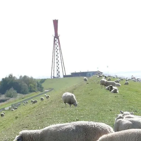 Eul K3 Completely Fenced Semesterbostad