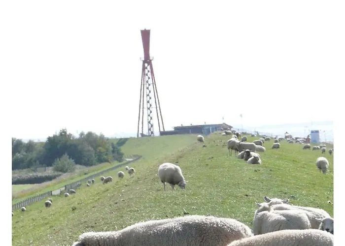 Eul K3 Completely Fenced Σπίτι διακοπών