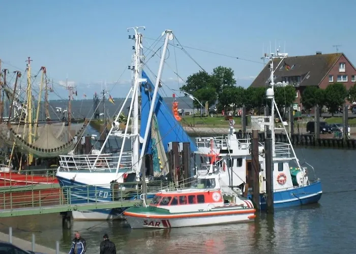 Eul K3 Completely Fenced *